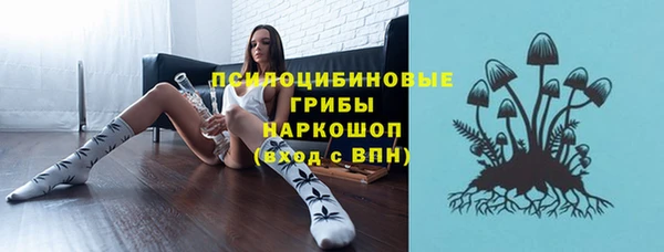 не бодяженный Алексин