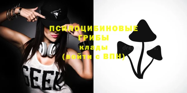 дживик Алексеевка