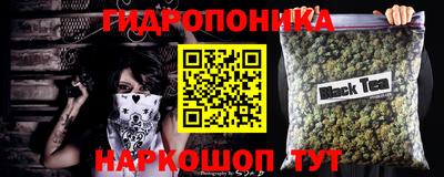 jwh Шебекино
