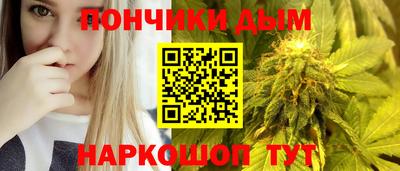 дурь Шелехов