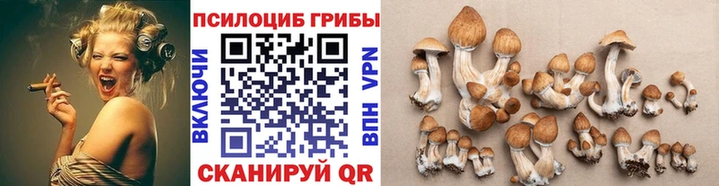 Псилоцибиновые грибы Cubensis mega зеркало Братск
