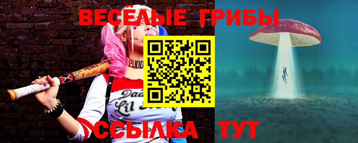 Псилоцибиновые грибы мухоморы  Вход с VPN  Братск 
