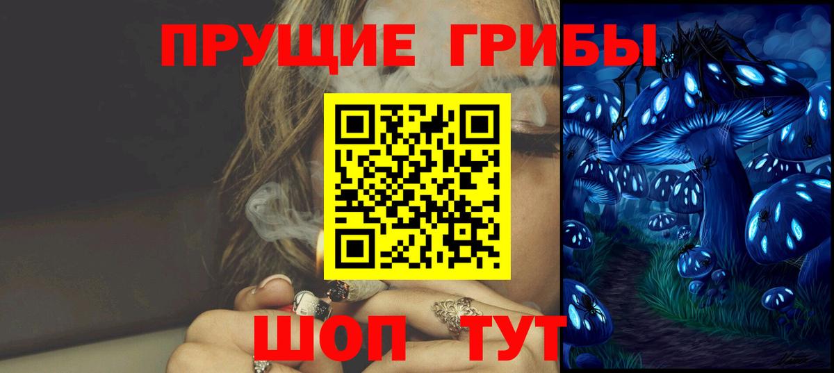 Галлюциногенные грибы Psilocybe Братск